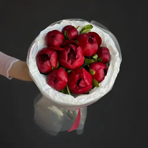 Букет из 9 пионов бордо