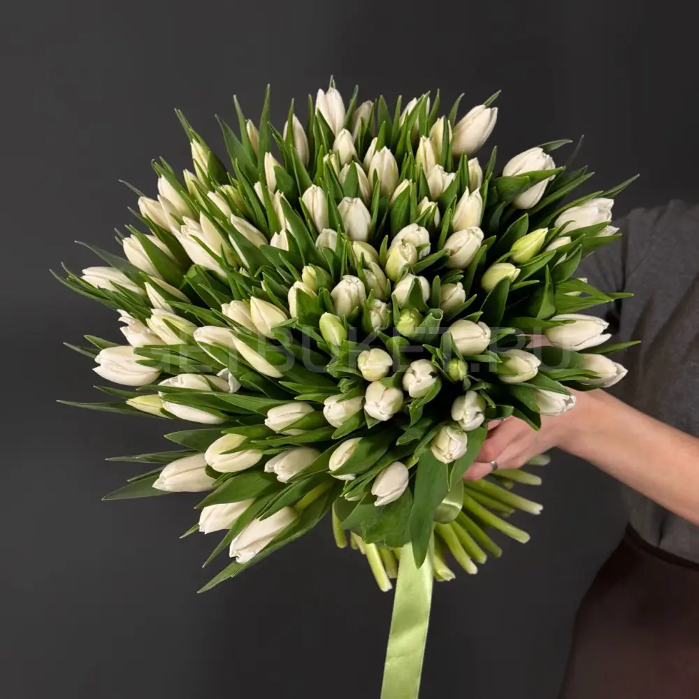 223662 Букет из 101 белого тюльпана