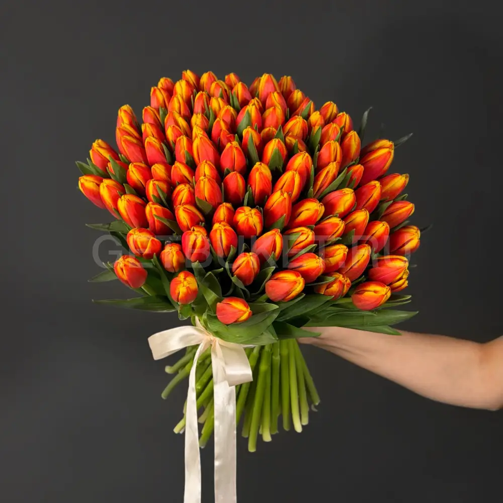 223622 Букет из 101 оранжевого тюльпана