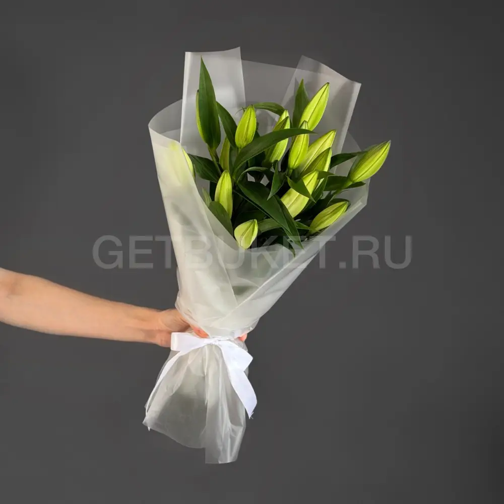 202970 Букет из 5 лилий в упаковке