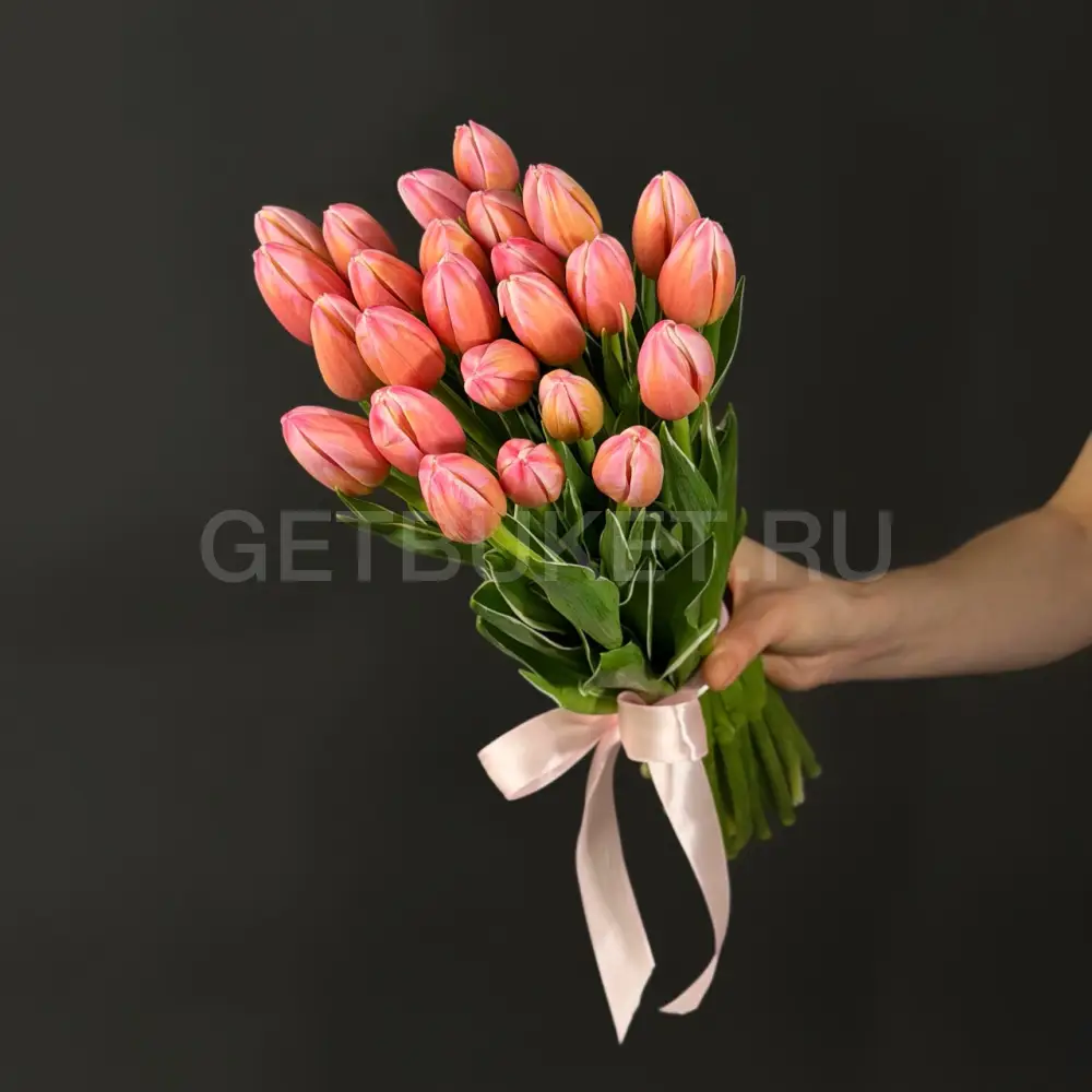 223620 Букет из 25 розово-малиновых тюльпанов
