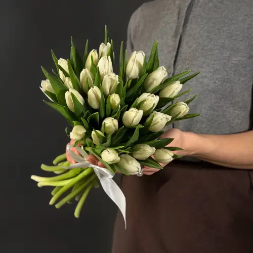 Букет из 25 белых тюльпанов