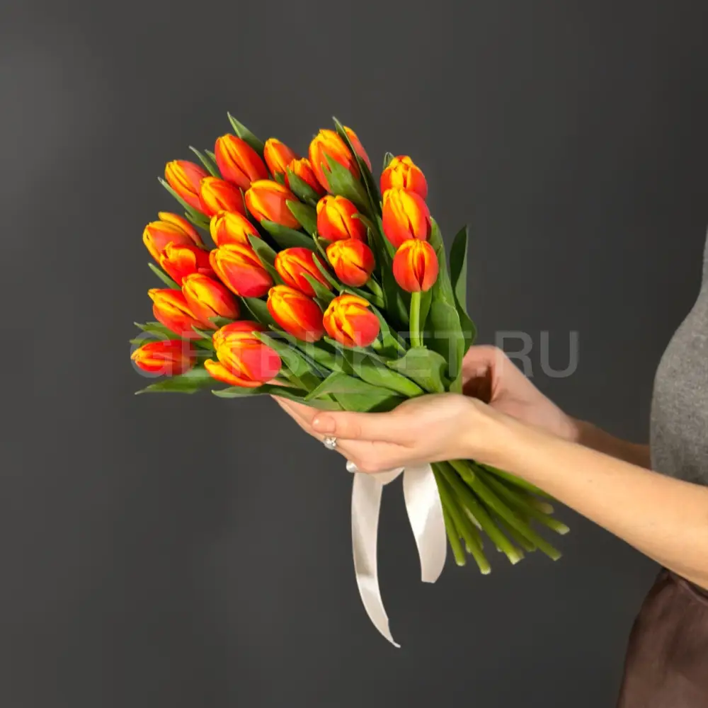 223663 Букет из 25 оранжевых тюльпанов