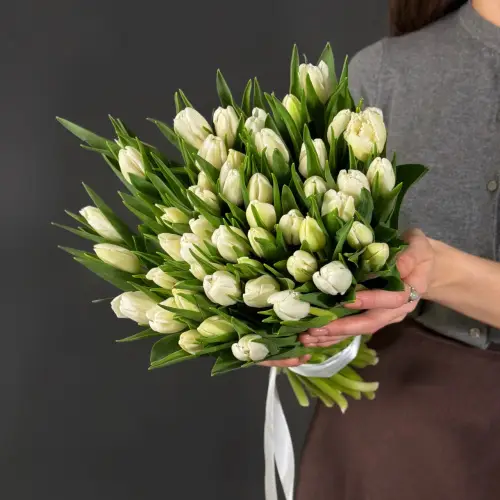 Букет из 51 белого тюльпана
